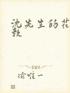 沈先生的花式管教