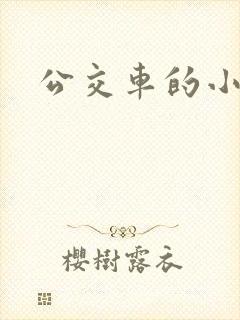 公交车的小说封面