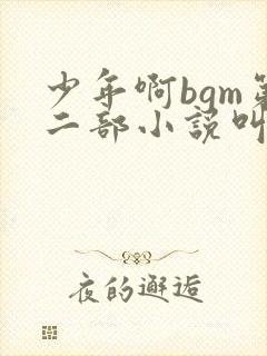 少年啊bgm第二部小说叫什么封面