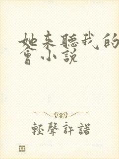 她来听我的演唱会小说