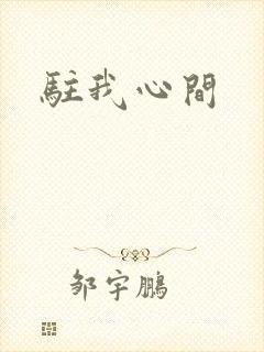驻我心间封面