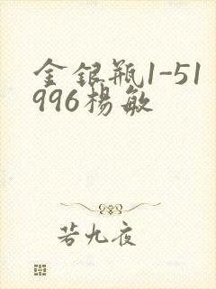 金银瓶1-51996杨敏封面