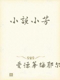 小说小芳