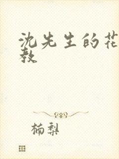 沈先生的花式管教