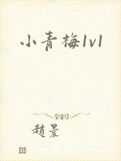 小青梅1v1