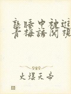 熟睡中被进了H青梅诱哄视频