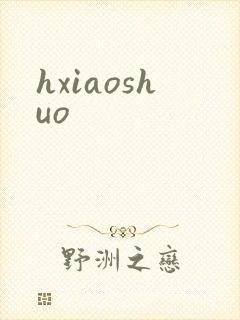 hxiaoshuo封面