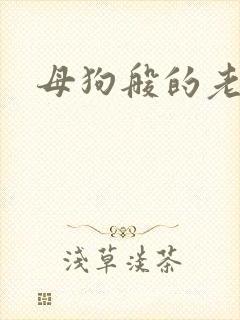母狗般的老师封面