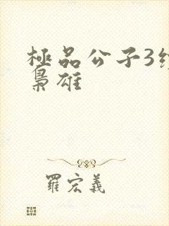极品公子3续世枭雄