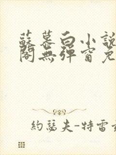 苏慕白小说笔趣阁无弹窗免费阅读