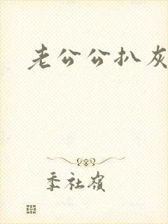 老公公扒灰小说封面