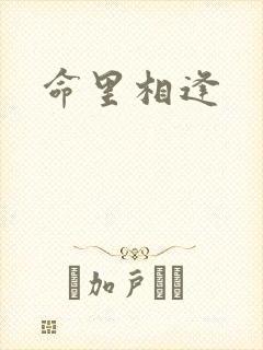 命里相逢封面