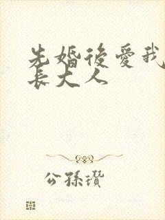 先婚后爱我的市长大人封面