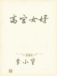 高官女婿