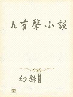 h有声小说
