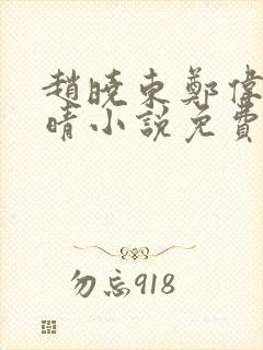 赵晓东郑伟吴雪晴小说免费阅读封面
