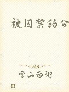 被囚禁的公主