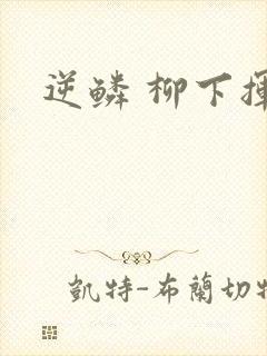 逆鳞 柳下挥