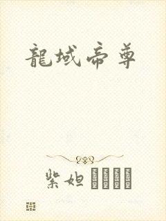 龙域帝尊封面