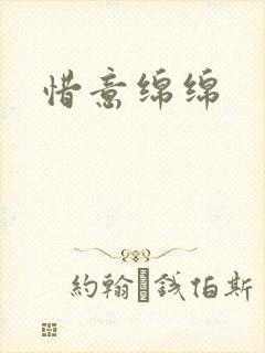 惜意绵绵封面