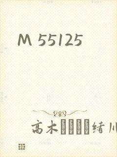 M 55125封面