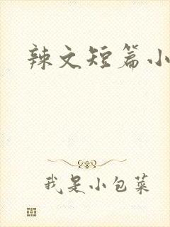 辣文短篇小说