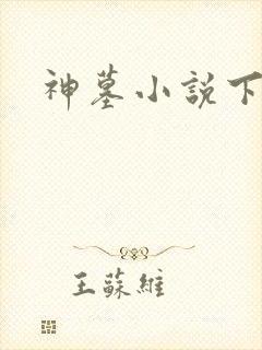 神墓小说下载