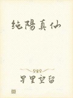 纯阳真仙