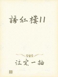 诱红楼11封面