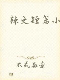 辣文短篇小说封面