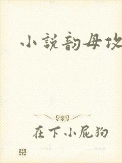 小说韵母攻略