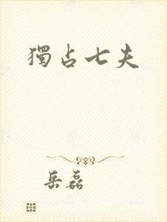 独占七夫封面