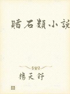 赌石类小说