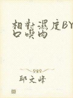 相对湿度BY大口吃肉