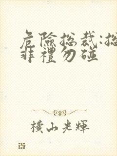 危险总裁:总裁非礼勿碰封面