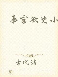 奉宫欲史小说封面
