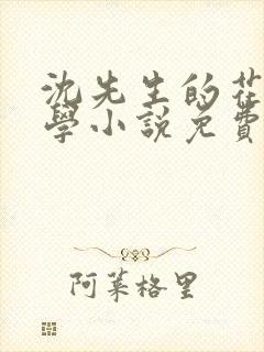沈先生的花式教学小说免费