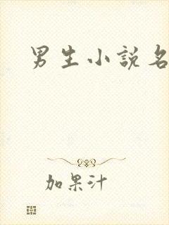 男生小说名字