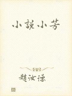 小说小芳封面