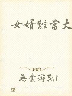 女婿难当大结局封面