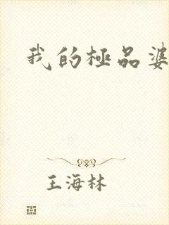 我的极品婆婆