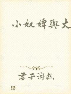 小奴婢与大少爷