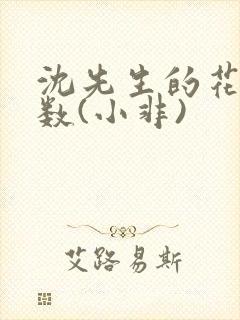 沈先生的花式调数(小非)