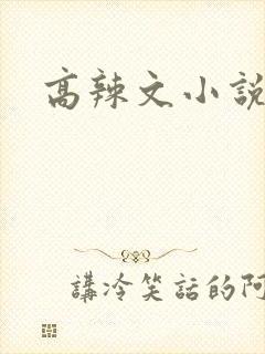 高辣文小说封面