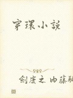 穿环小说