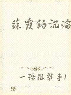 苏霞的沉沦封面