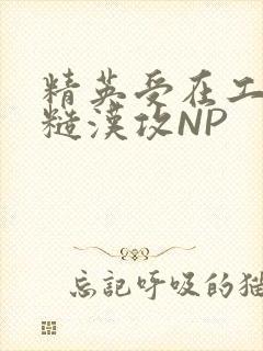 精英受在工地被糙汉攻NP