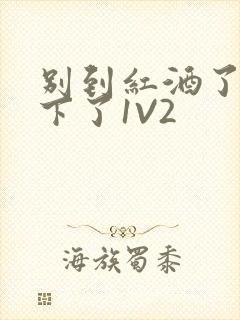 别到红酒了装不下了1V2