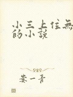 小三上位无三观的小说封面
