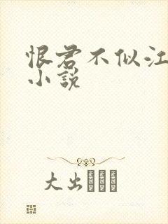 恨君不似江楼月小说封面